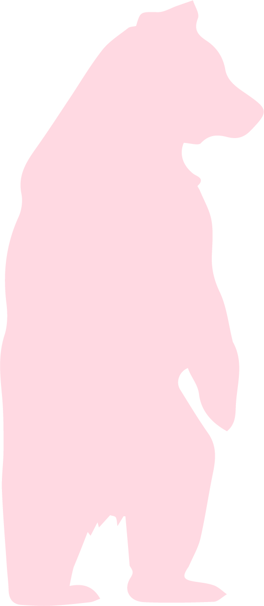 Pink Bear Crew Socks