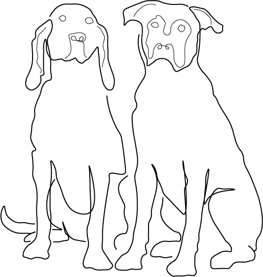 Custom Line Drawing Crew Socks